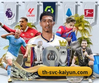 开云体育 APP - kaiyun sports app